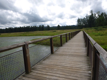 Wooden bridge with railing over the lake – may be slick when wet –  transition from trail to bridge may have lip